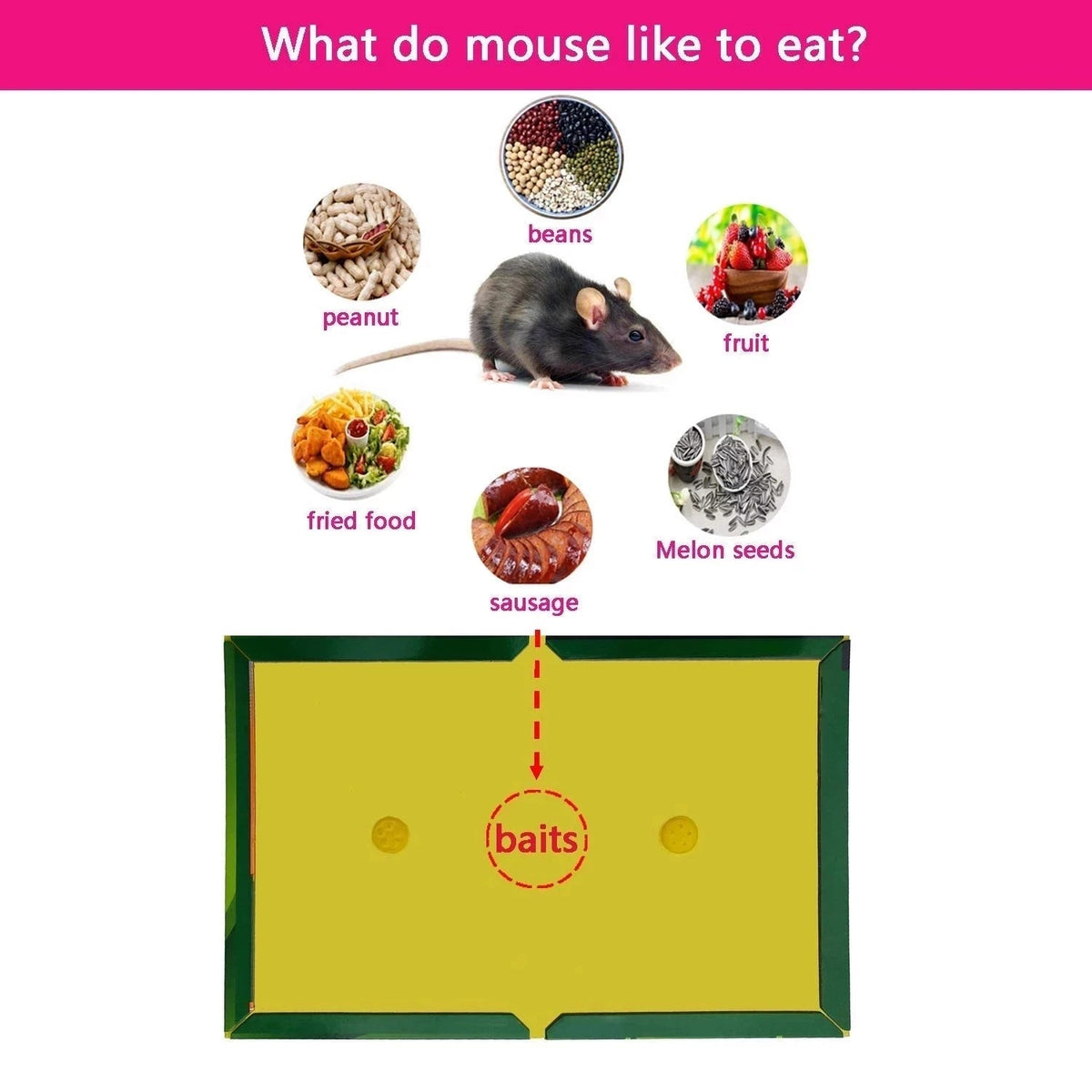 Sticky Mouse Glue Boards (3–15 Pack)