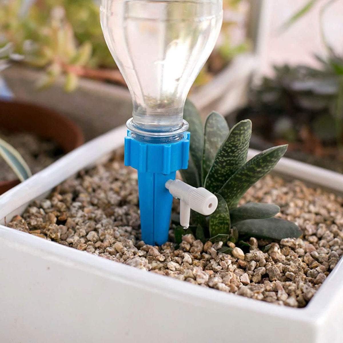 Plant Watering Spikes Self-Watering Devices – Set of 24