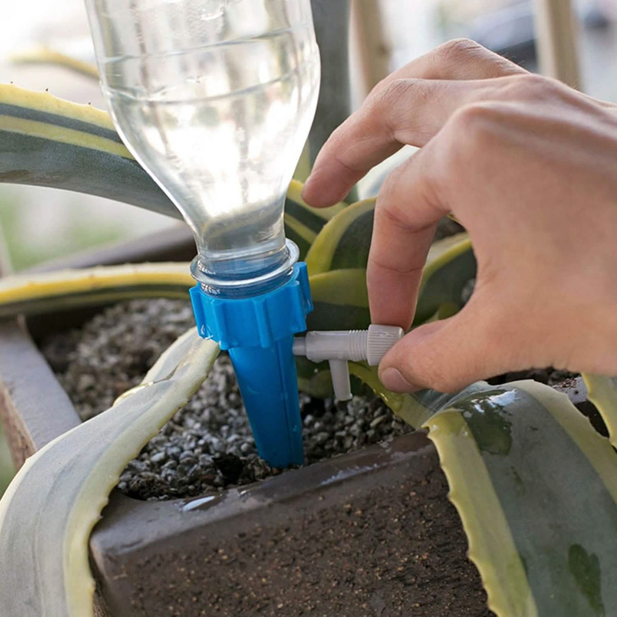 Plant Watering Spikes Self-Watering Devices – Set of 24