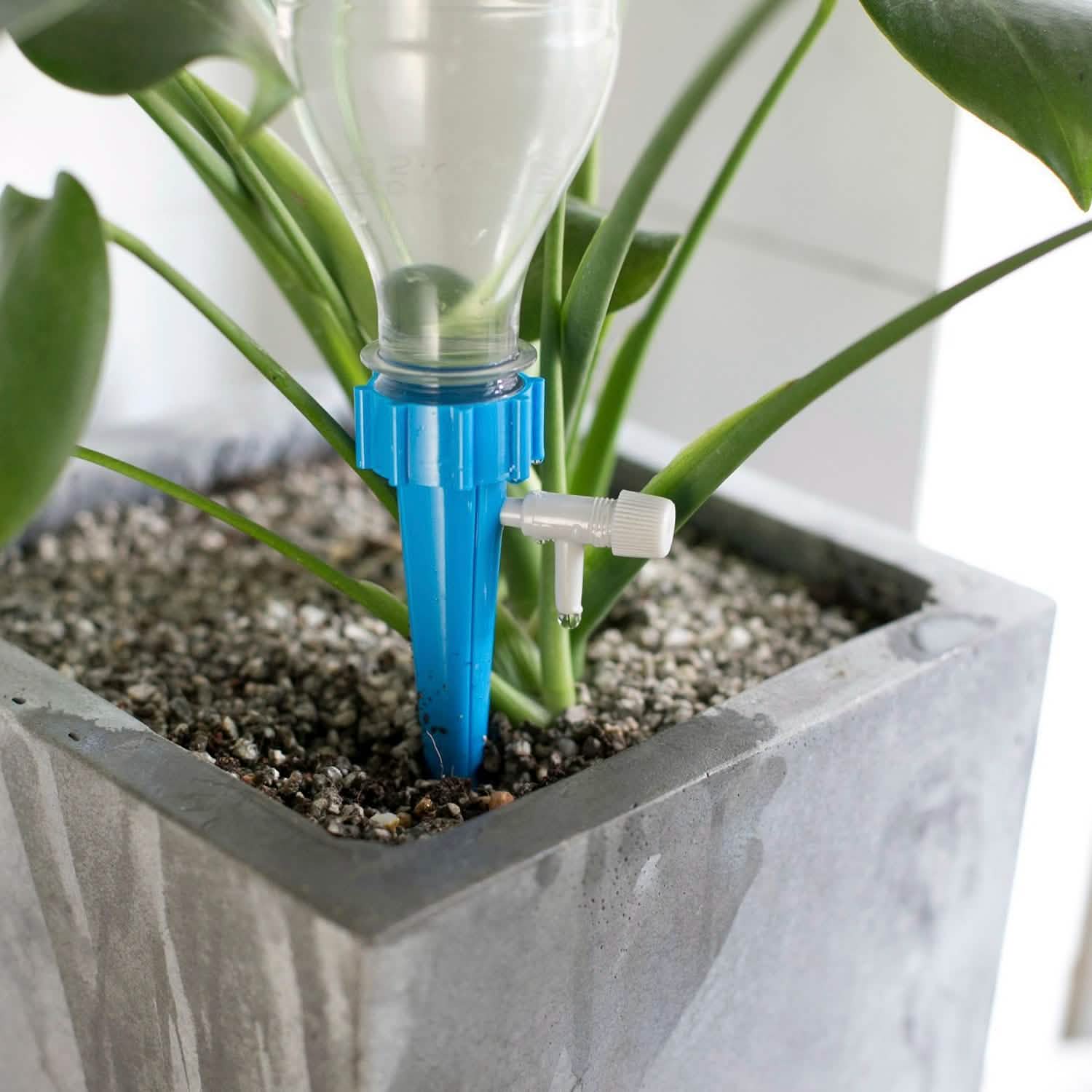 Plant Watering Spikes Self-Watering Devices – Set of 24