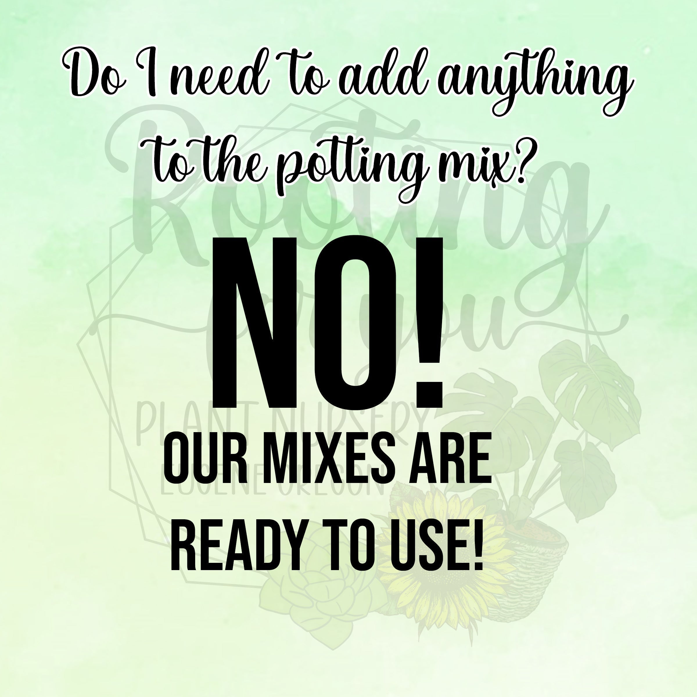 Spider Plant Premium Potting Mix