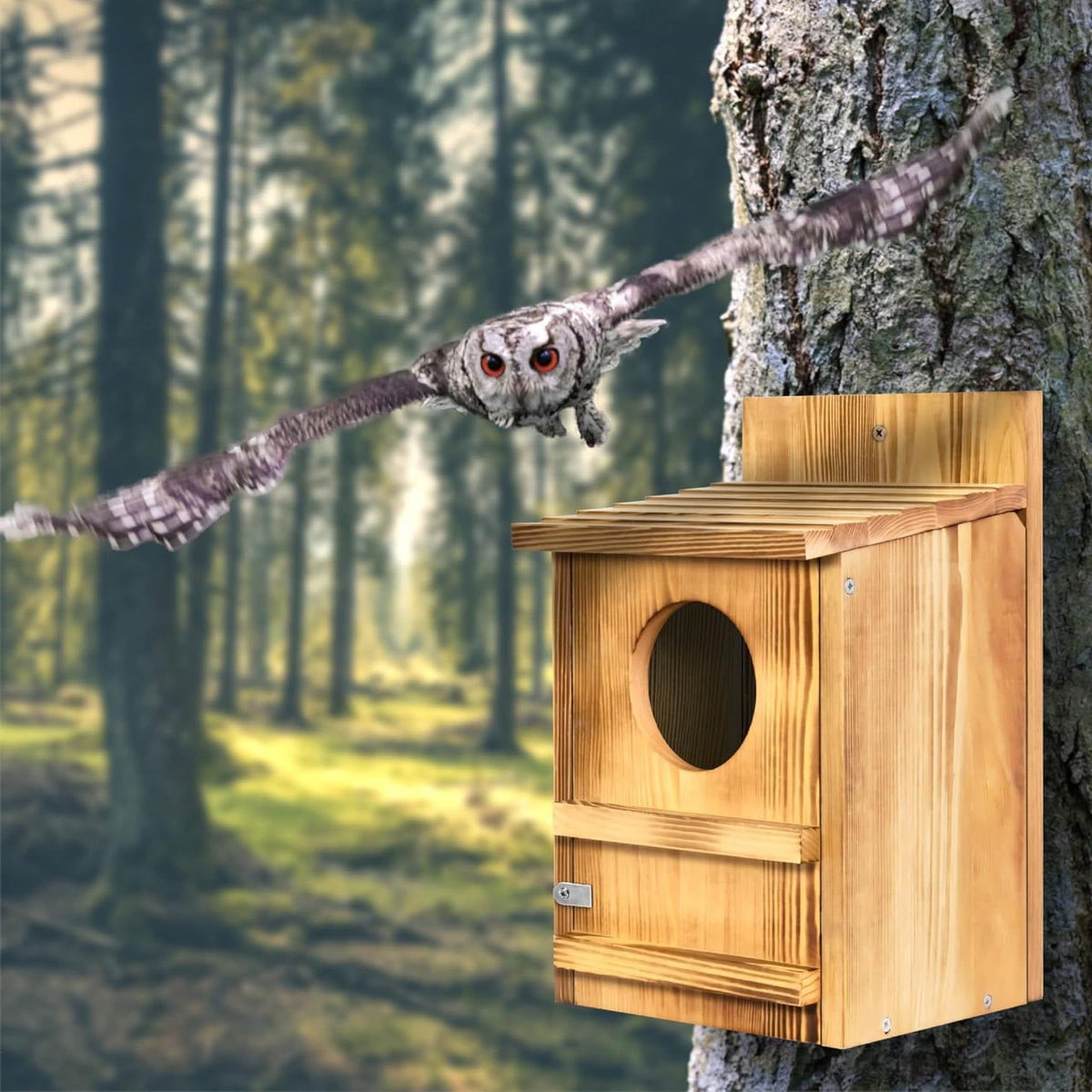 Wooden Screech Owl Birdhouse – Easy Mount Outdoor Bird House