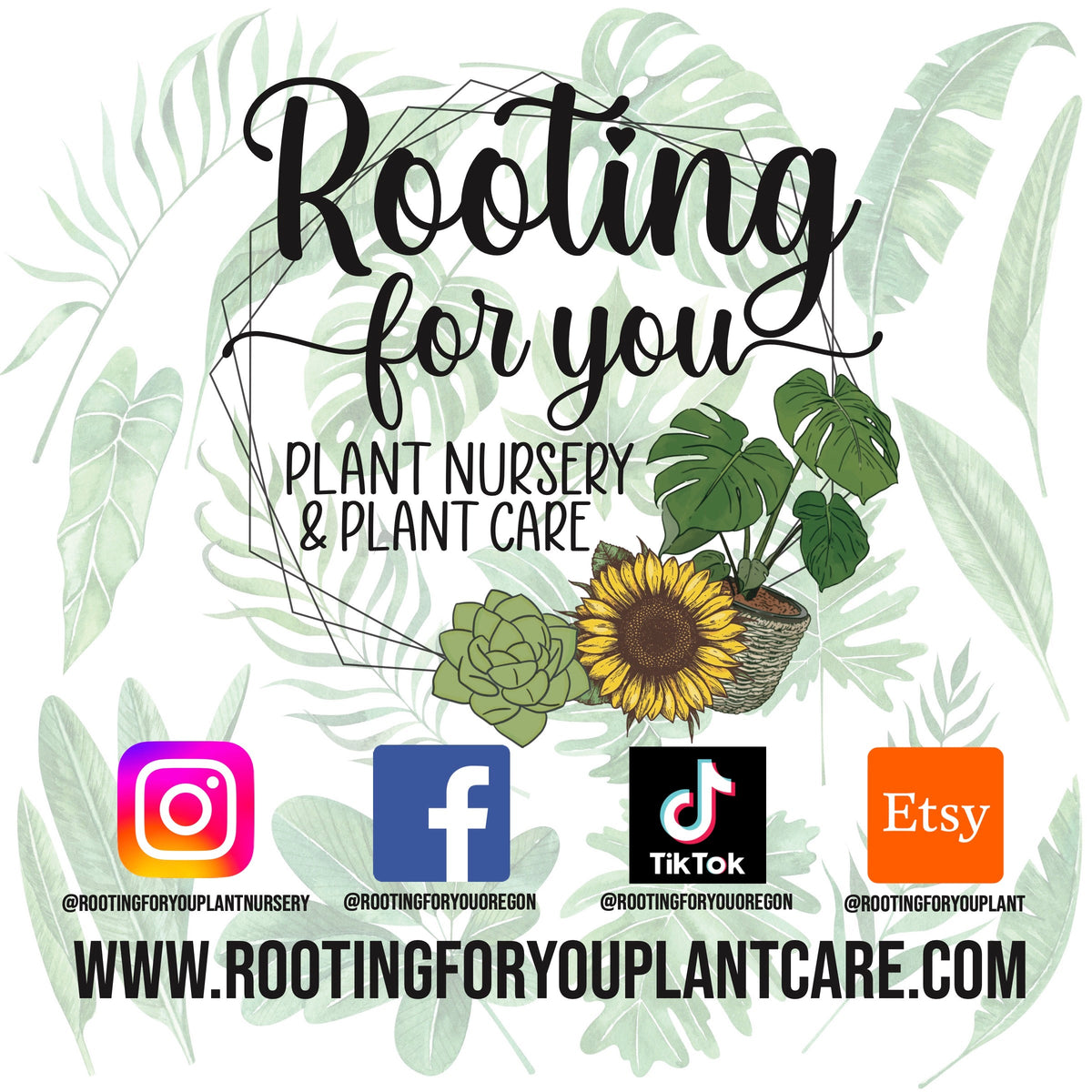 ZZ Plant Premium Potting Mix