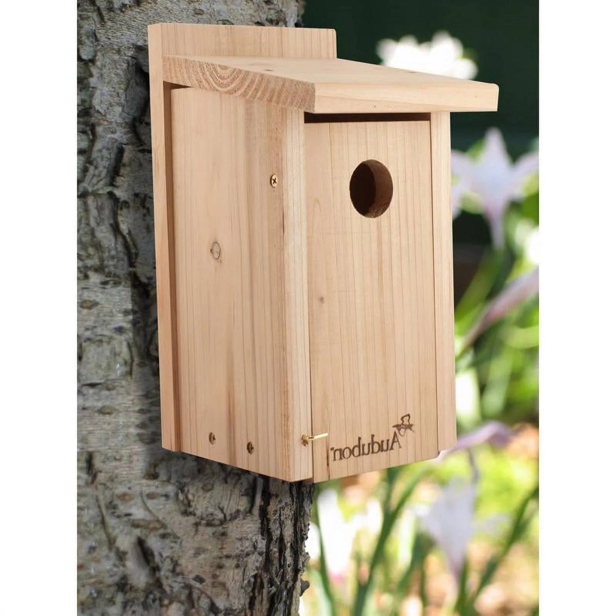 Classic Cedar Wood Bluebird House for Outdoor Mounting