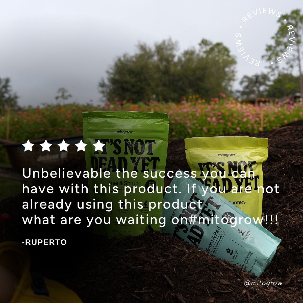 Garden Essentials Bundle – Curated Tools & Accessories Set