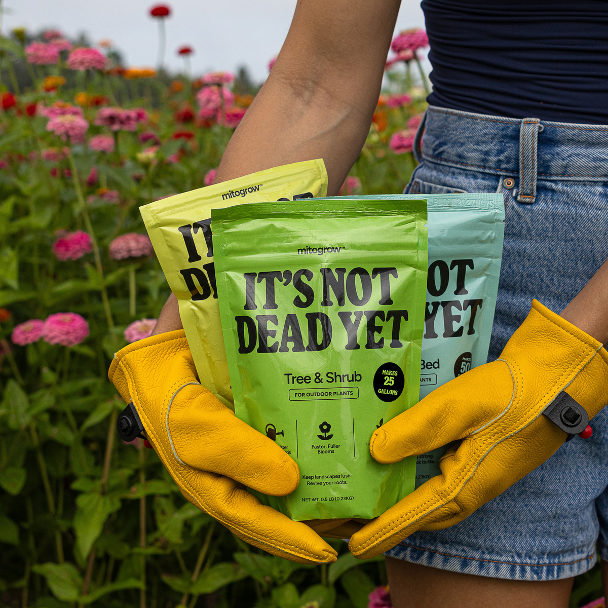 Garden Essentials Bundle – Curated Tools & Accessories Set
