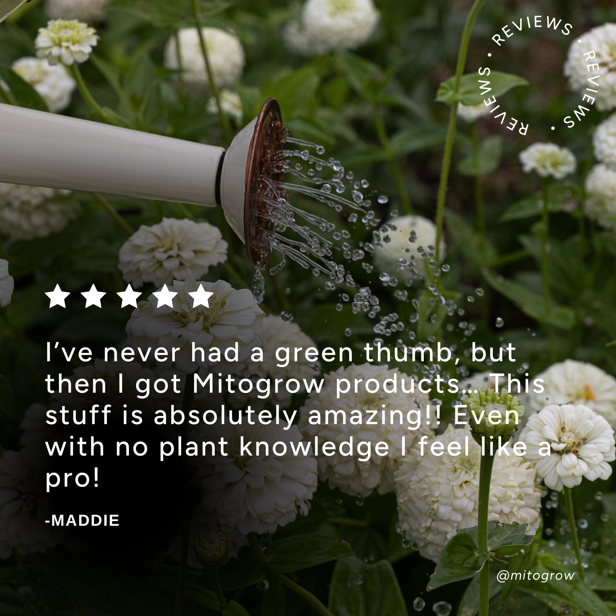 MitoGrow Pots & Planters Plant Biostimulant – Makes 50 Gallons