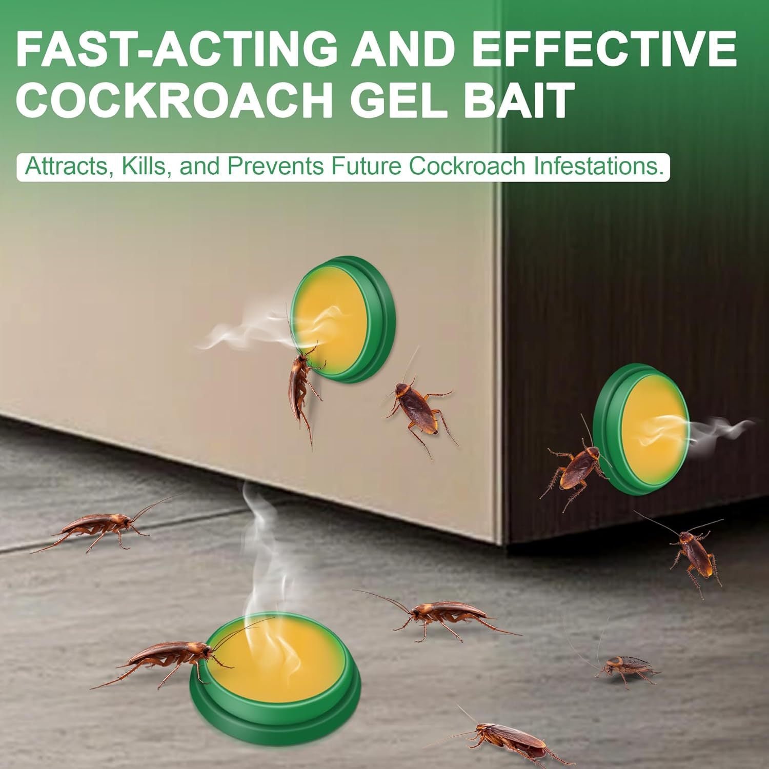 12/24 Pack Cockroach Bait Station – Indoor Roach Trap for Home & Kitchen