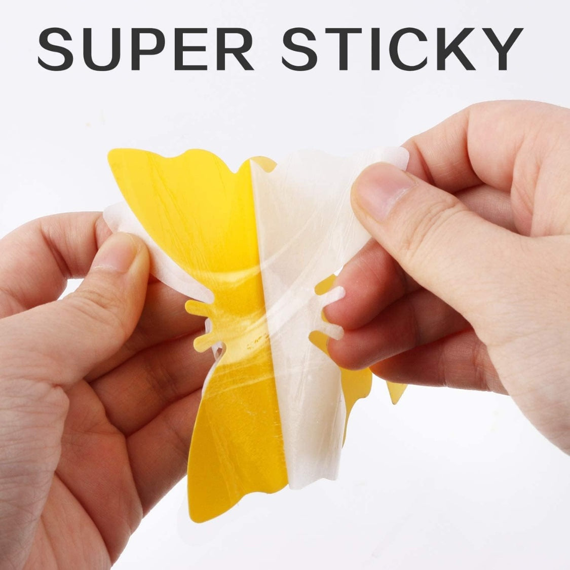 36 Pack Yellow Sticky Traps – Fruit Fly & Fungus Gnat Killer