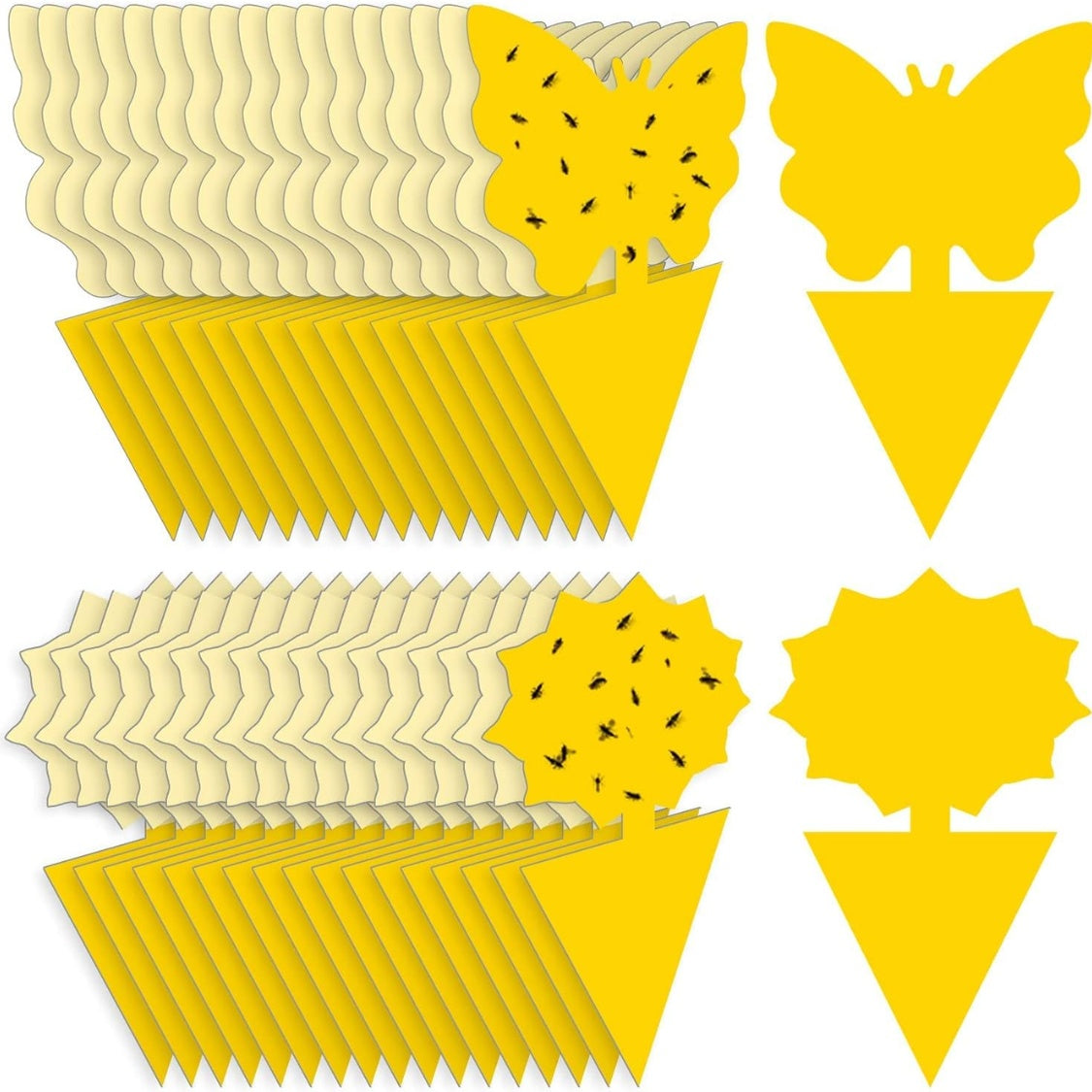 36 Pack Yellow Sticky Traps – Fruit Fly & Fungus Gnat Killer