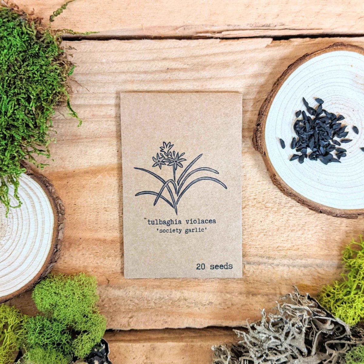 "Houseplant Newbie" Houseplant Seed Collection
