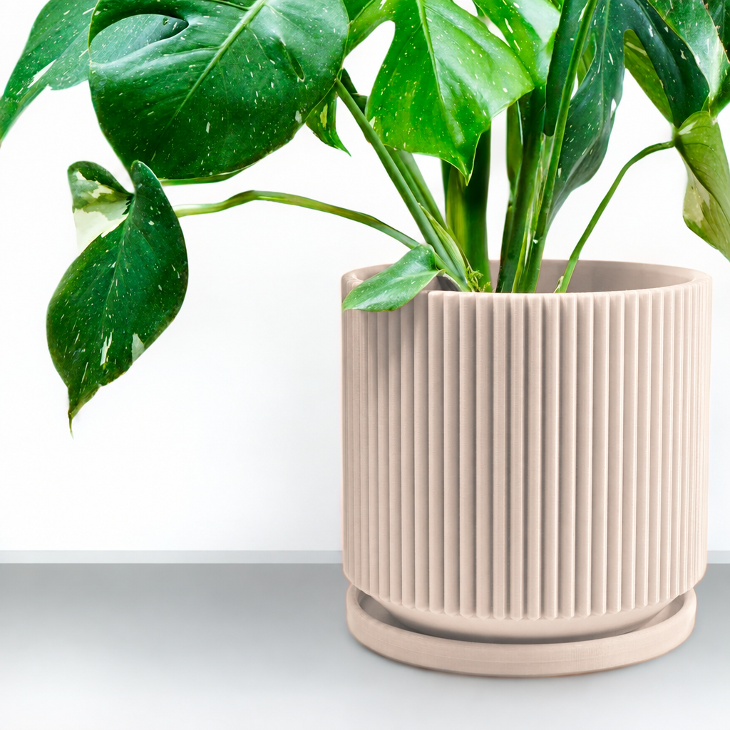 Cream ribbed planter with plant and matching tray