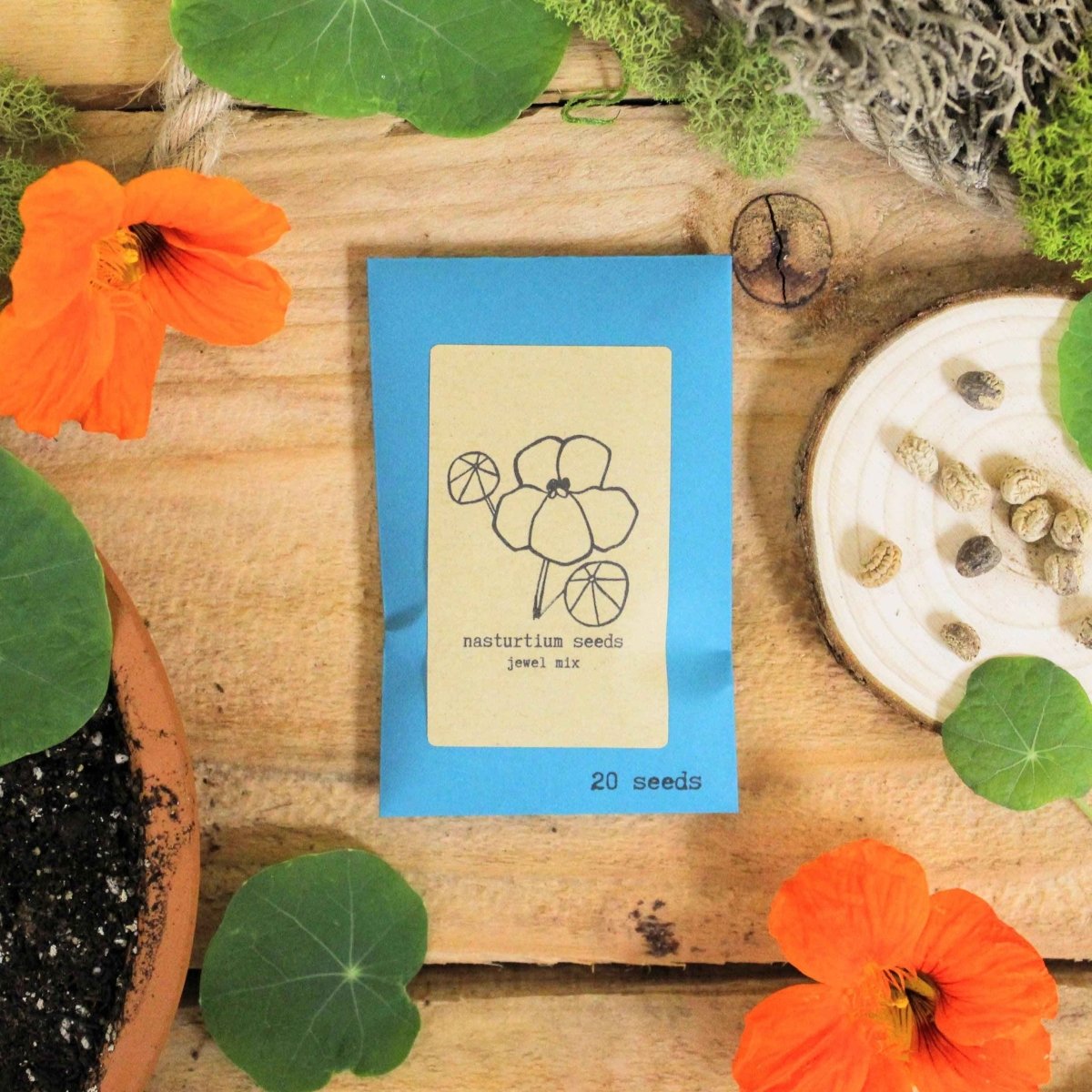 "Indoor Blooms" Seed Collection