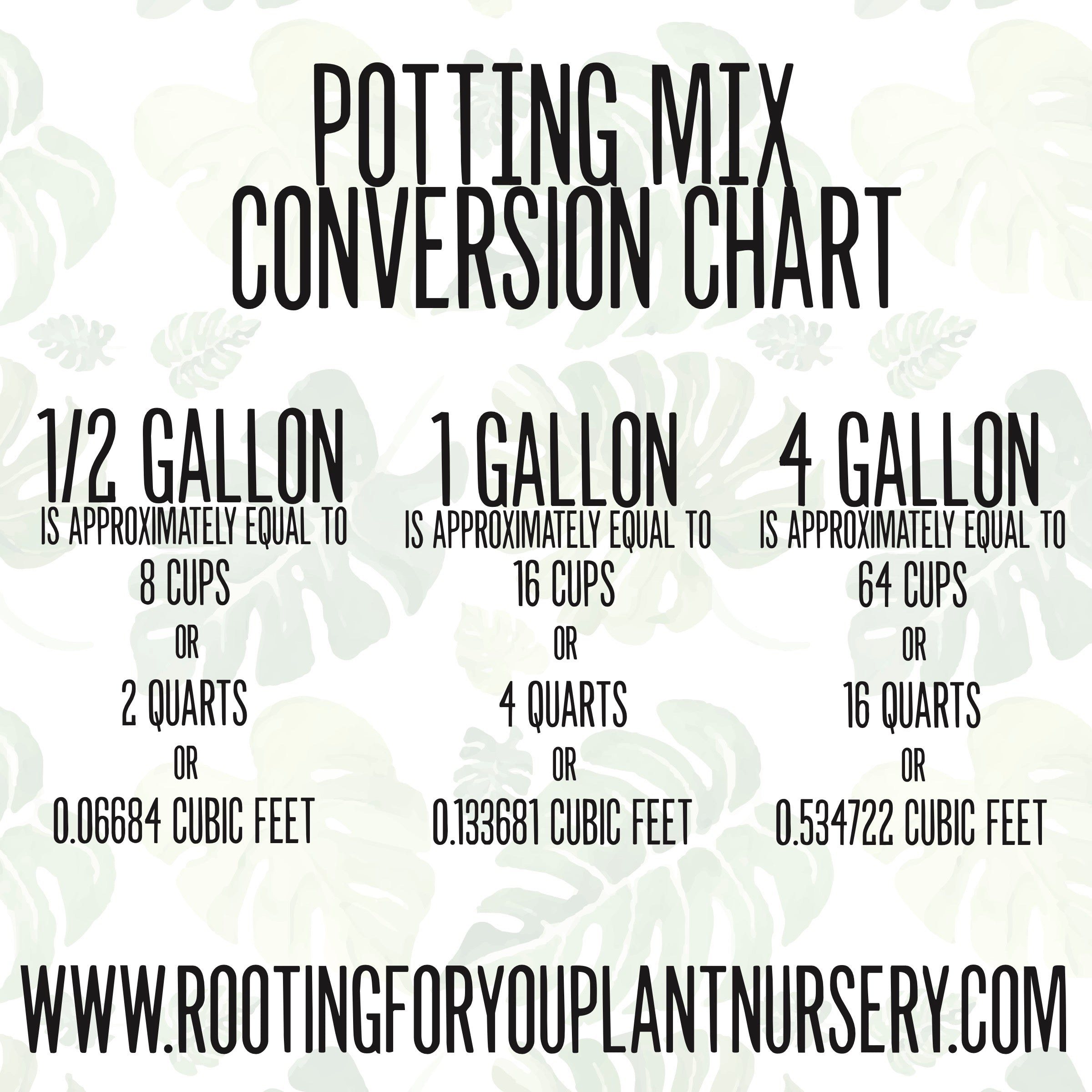 Spider Plant Premium Potting Mix