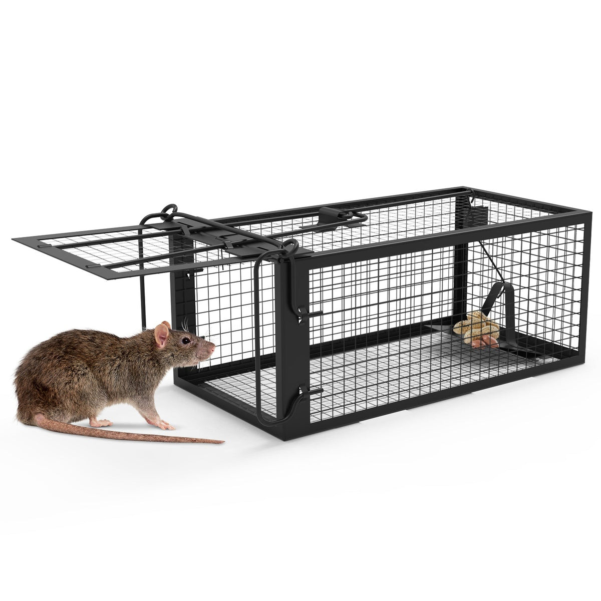 2 Pack Rat Trap Cage Humane Live Rodent Trap Cage Galvanized Iron Mice Mouse Control Bait Catch With Detachable U Shaped Rod