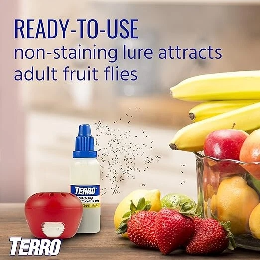TERRO Indoor Fruit Fly Trap, 2-Pack (4 Traps Total) with Built-In Window