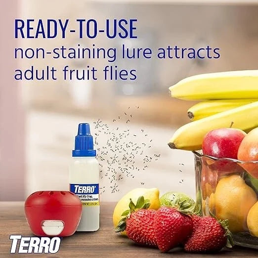 TERRO Indoor Fruit Fly Trap, 2-Pack (4 Traps Total) with Built-In Window